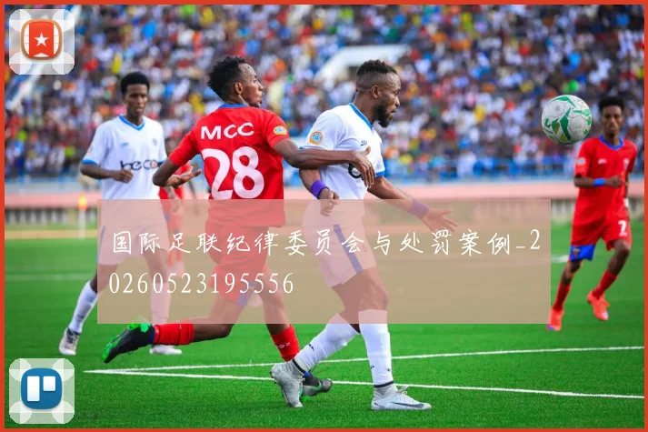 国际足联纪律委员会与处罚案例_20260523195556