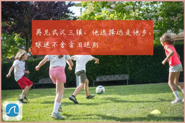 再见武汉三镇,他选择远走他乡,球迷不舍含泪送别